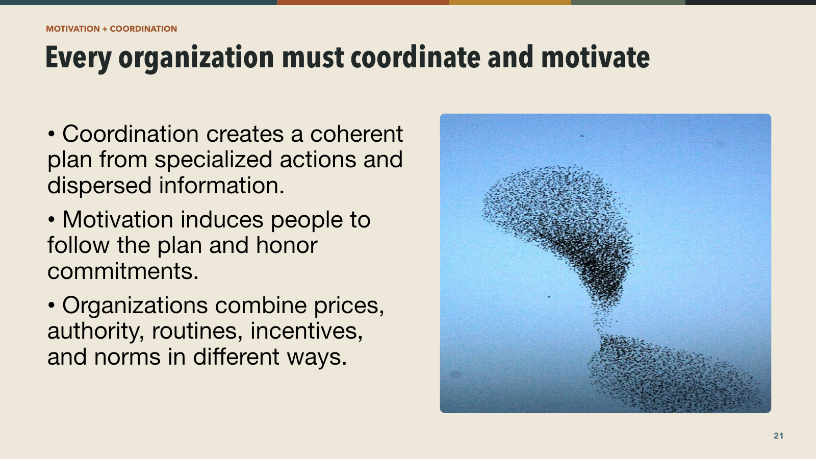 Every organization must coordinate and motivate